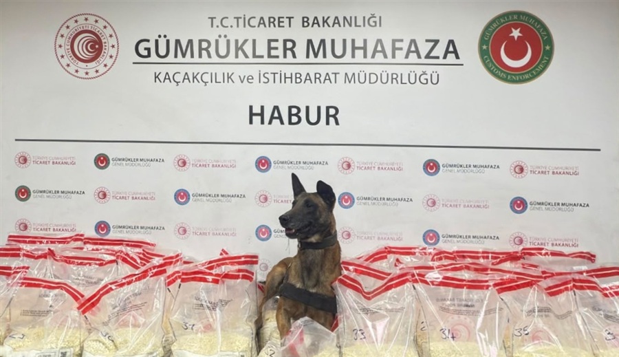 TİCARET BAKANLIĞI GÜMRÜKLER MUHAFAZA EKİPLERİ KAÇAKÇILIK VE UYUŞTURUCUYA GEÇİT VERMEMEYE DEVAM EDİYOR